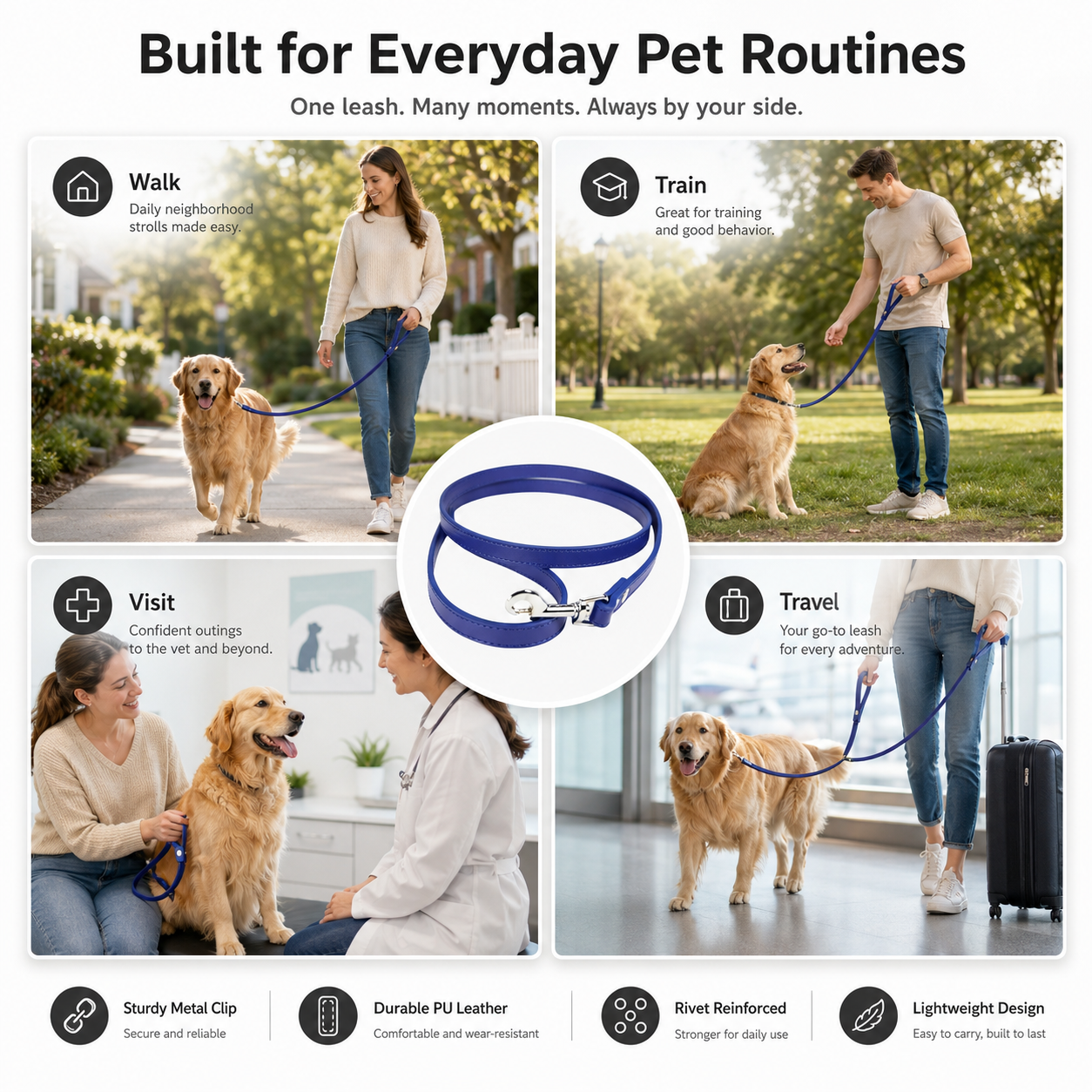 Pet Leash Dog Lead